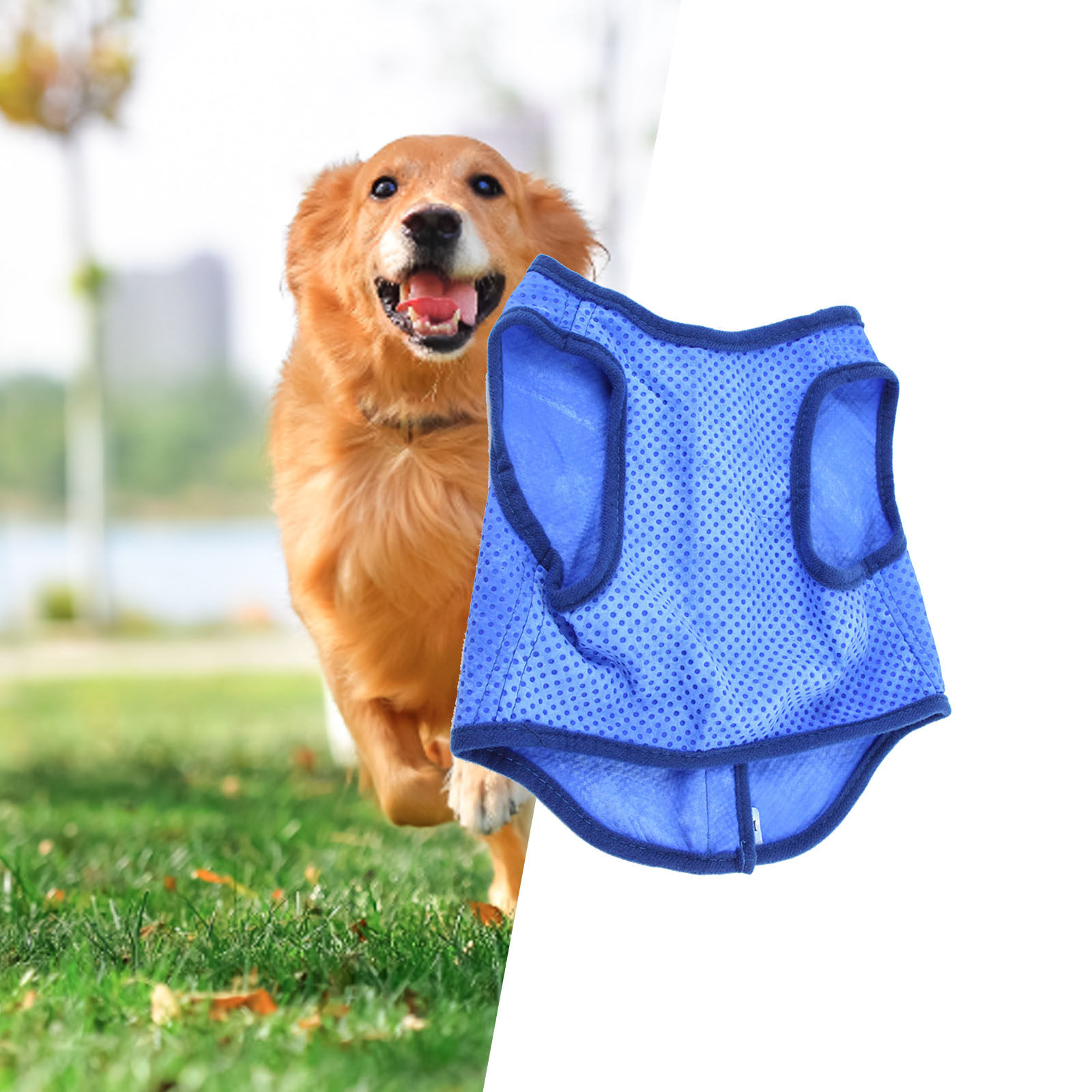 Gilet rinfrescante per cani, r - Outdoor Sport Coat recensione e prezzo