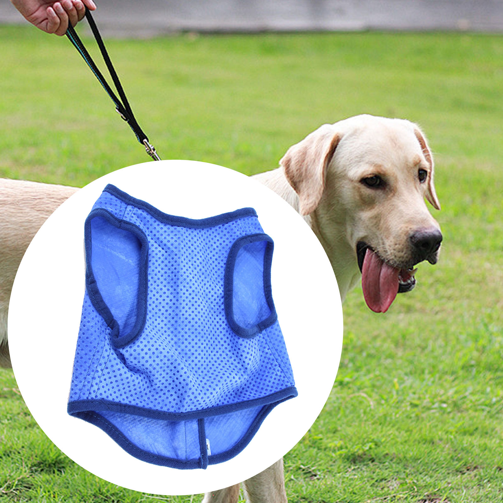 Gilet rinfrescante per cani, r - Outdoor Sport Coat recensione e prezzo